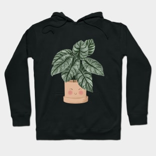 Cute Plant Illustration, Alocasia Silver Dragon Illustration 2 Hoodie